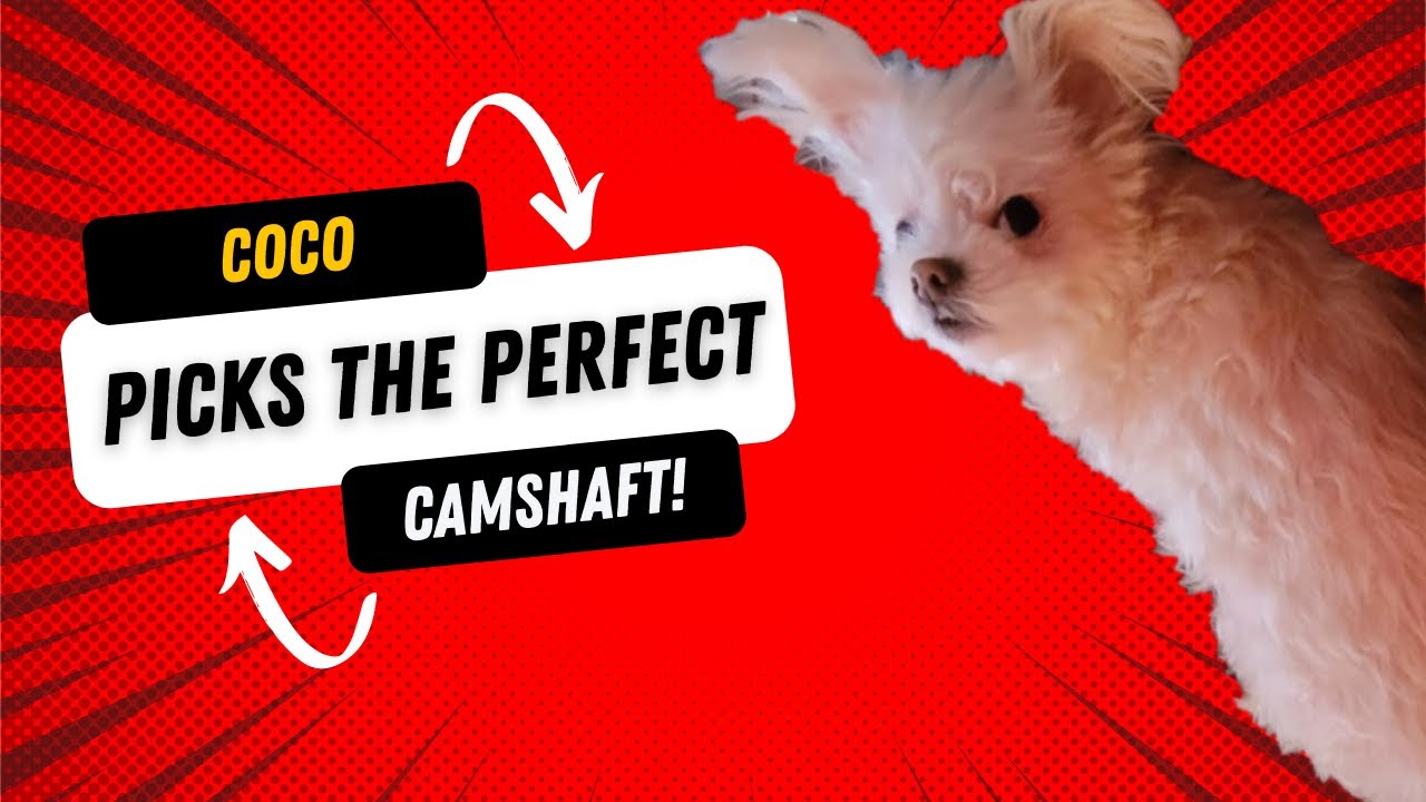 How to pick a camshaft! Cam specs explained, cam comparison