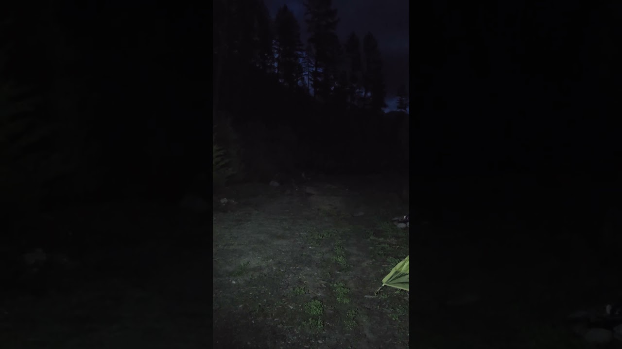 Olight Warrior X4 kontra latarka LED Milwalkee. Kt&oacute;ra jest lepsza?