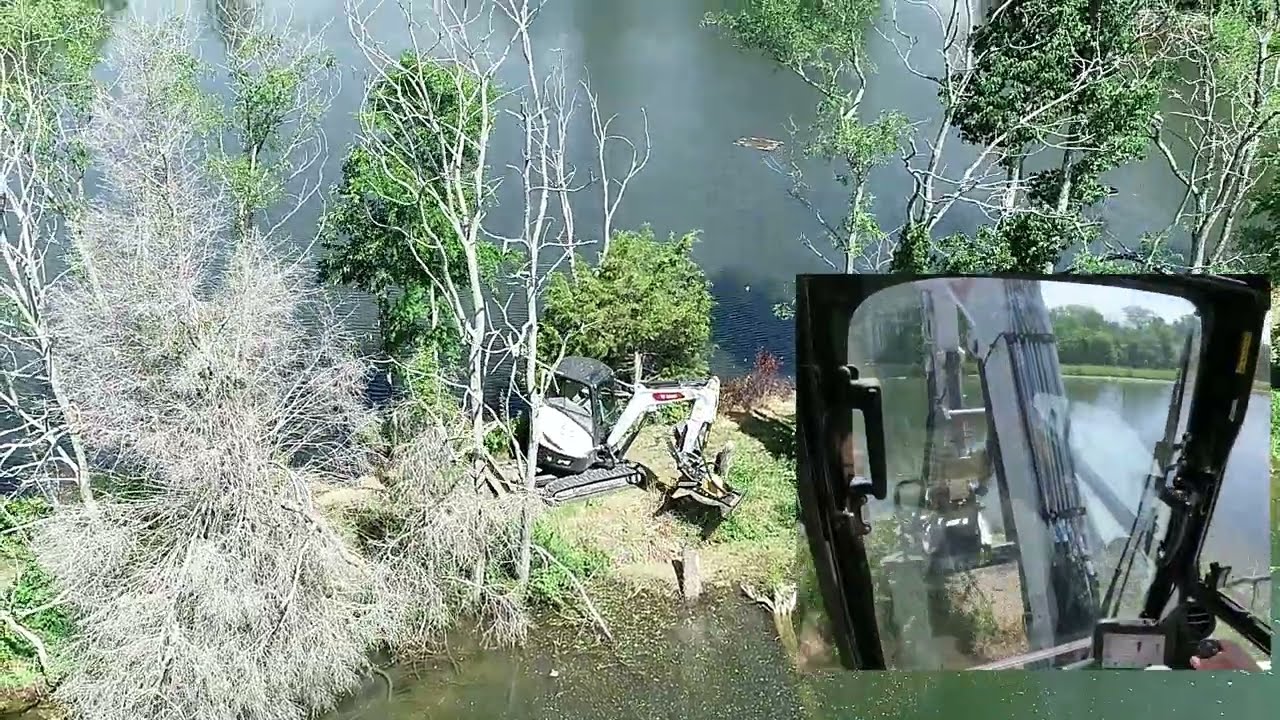 Bobcat mini excavator brush cutter clearing overgrown pond dams Construction Attachments 42