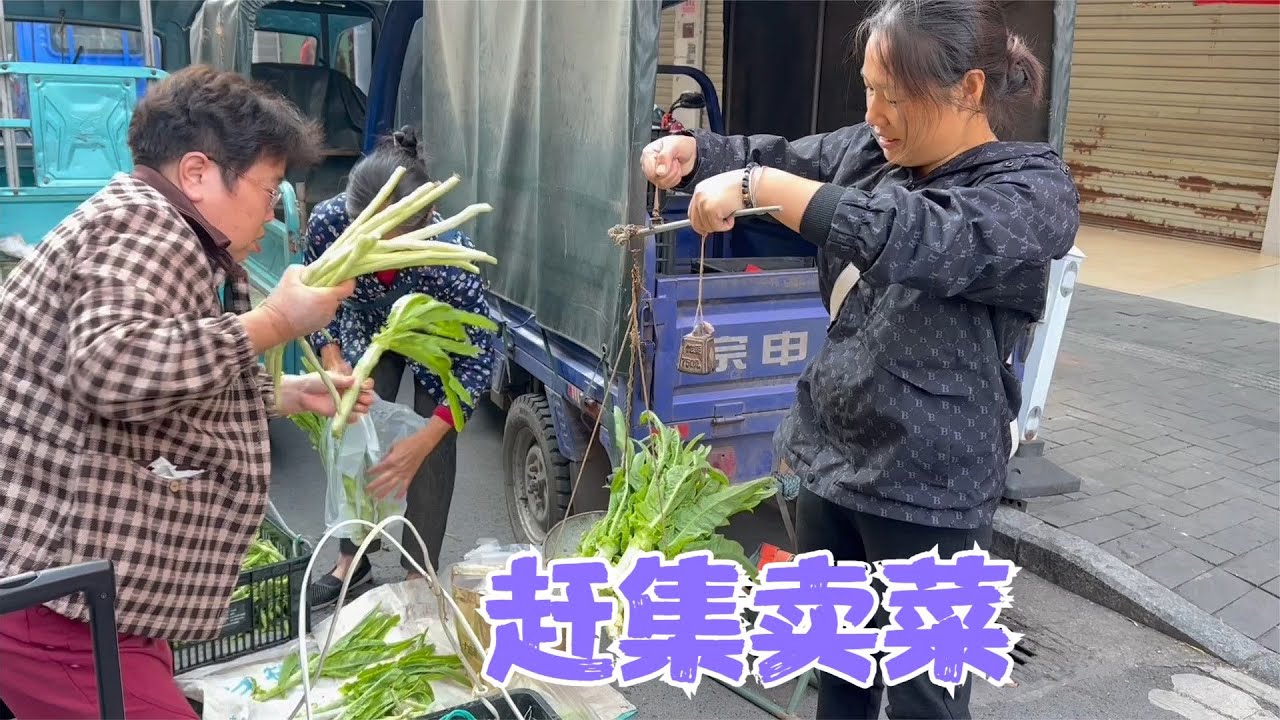 阿恋婆媳兵分两路摘菜去赶集，莴笋被一抢而空，都夸婆婆菜种得好