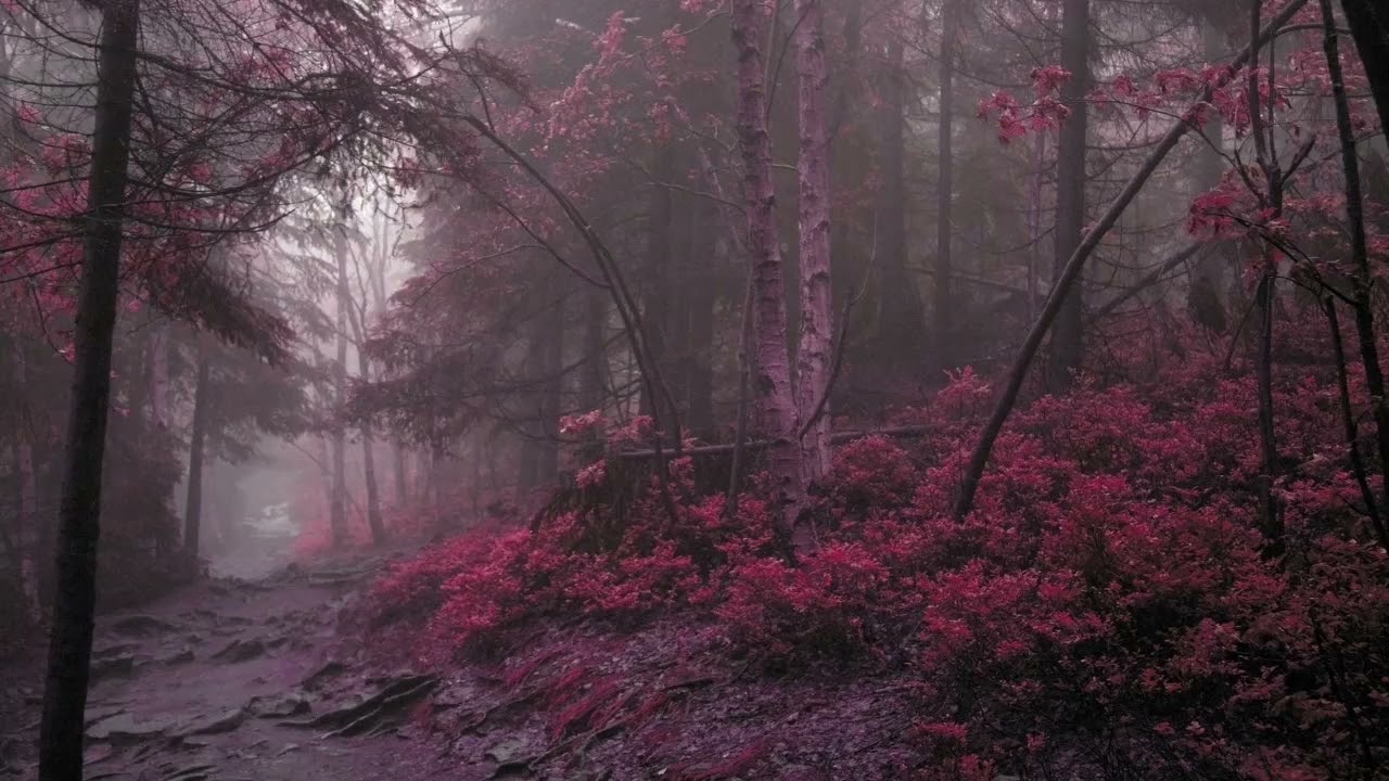 Melanie Martinez - Powder (slowed and reverb)