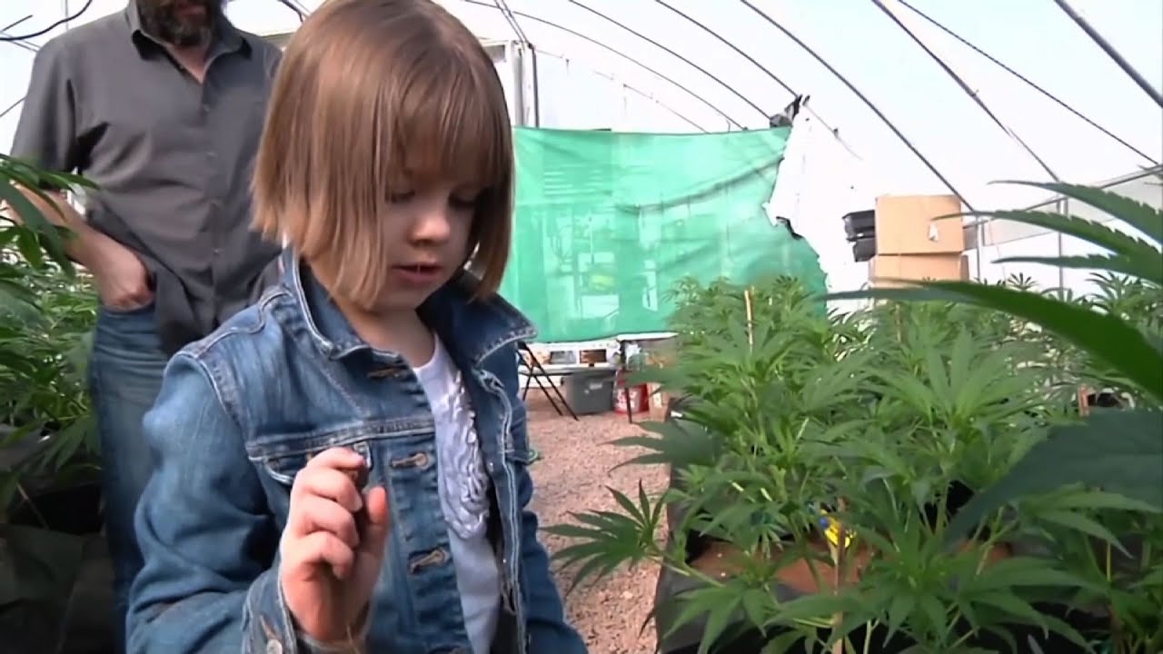 Marijuana-Based Drug Gets Positive FDA Review