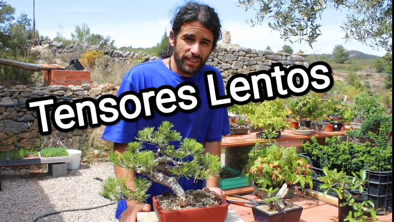 Tensores lentos