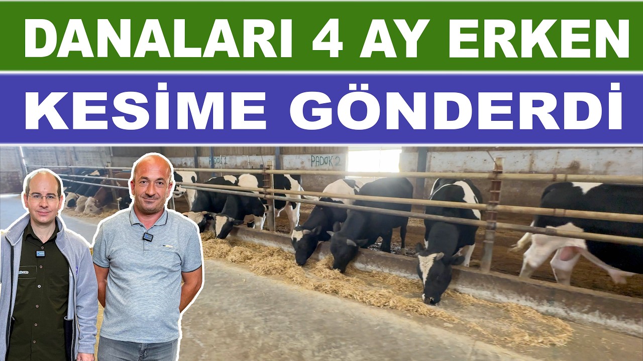 Danalarda Ayda 30 Kg Yerine 55 Kg Baskül Artışı