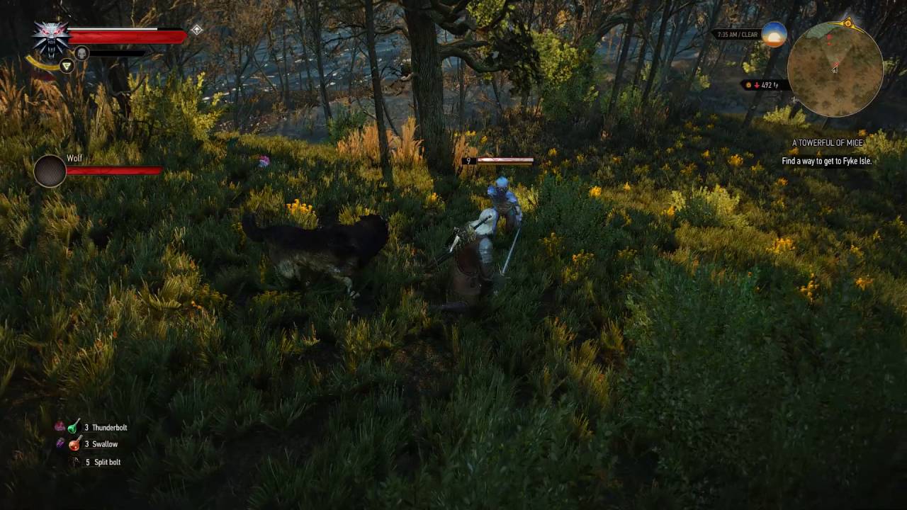 The Witcher 3 Wolf companion
