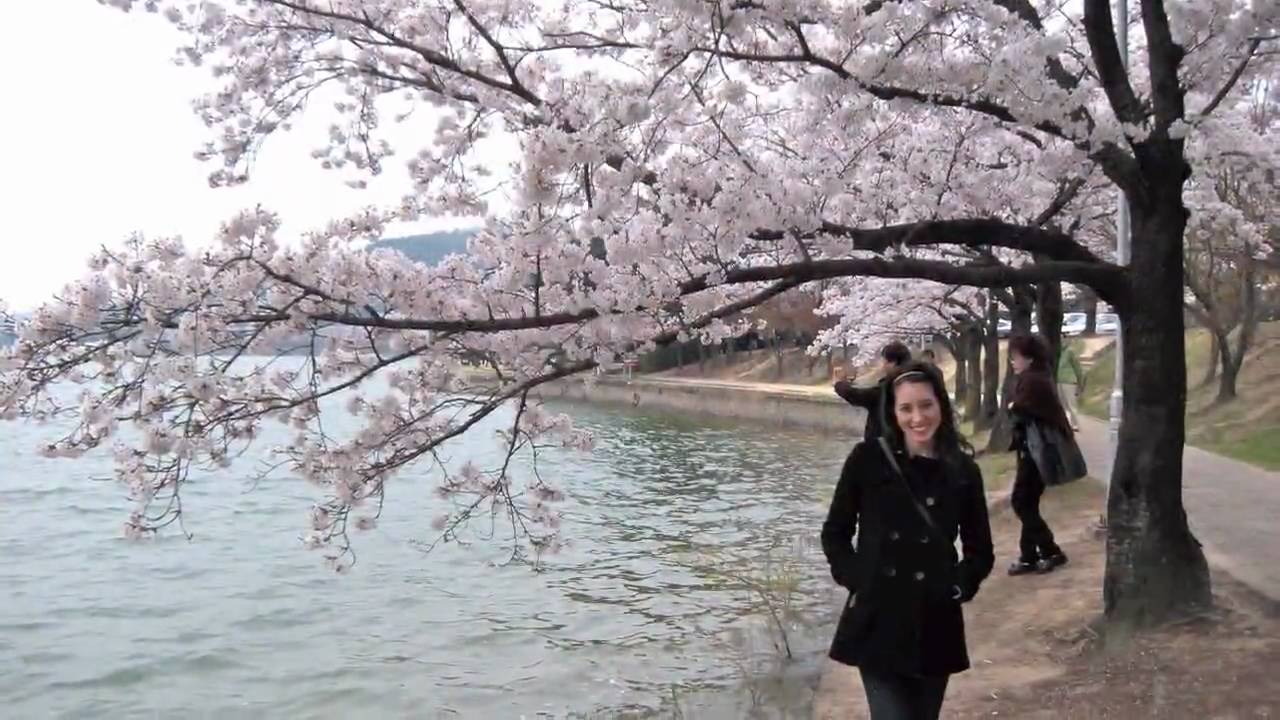 Korean Spring