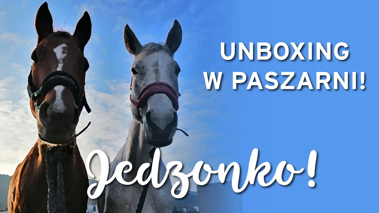 VLOG #1 Unboxing jedzonka Forevera | Wizyta w paszarni | Czym dokarmiam konie?