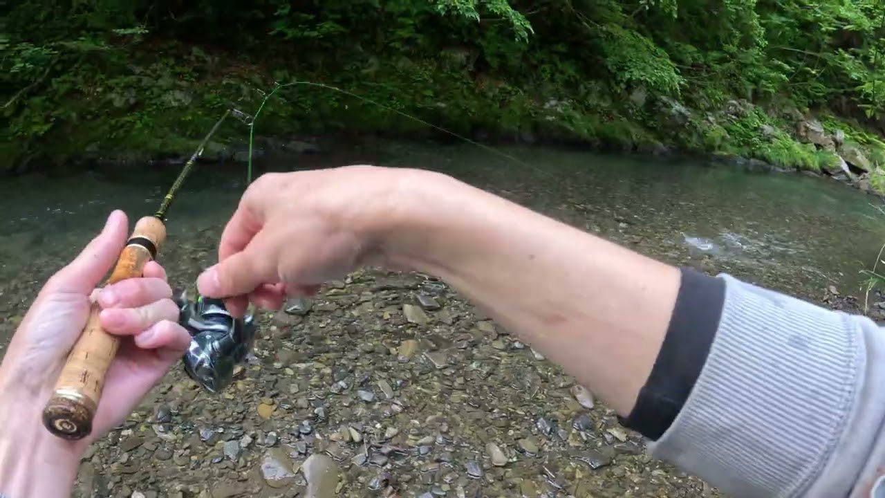 渓流釣り　ダブルヒット