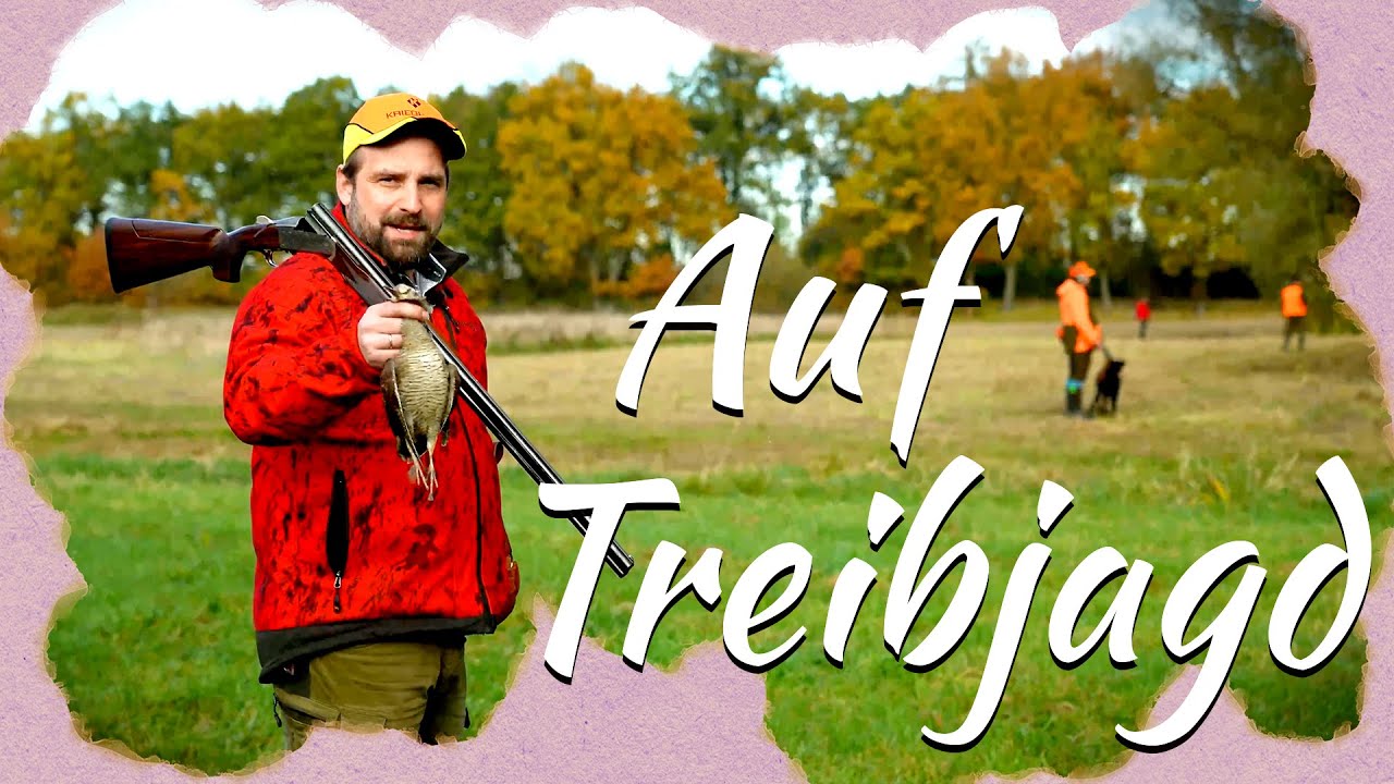 Teppe und Schwenen auf Treibjagd: Schnepfe und Mettbrötchen