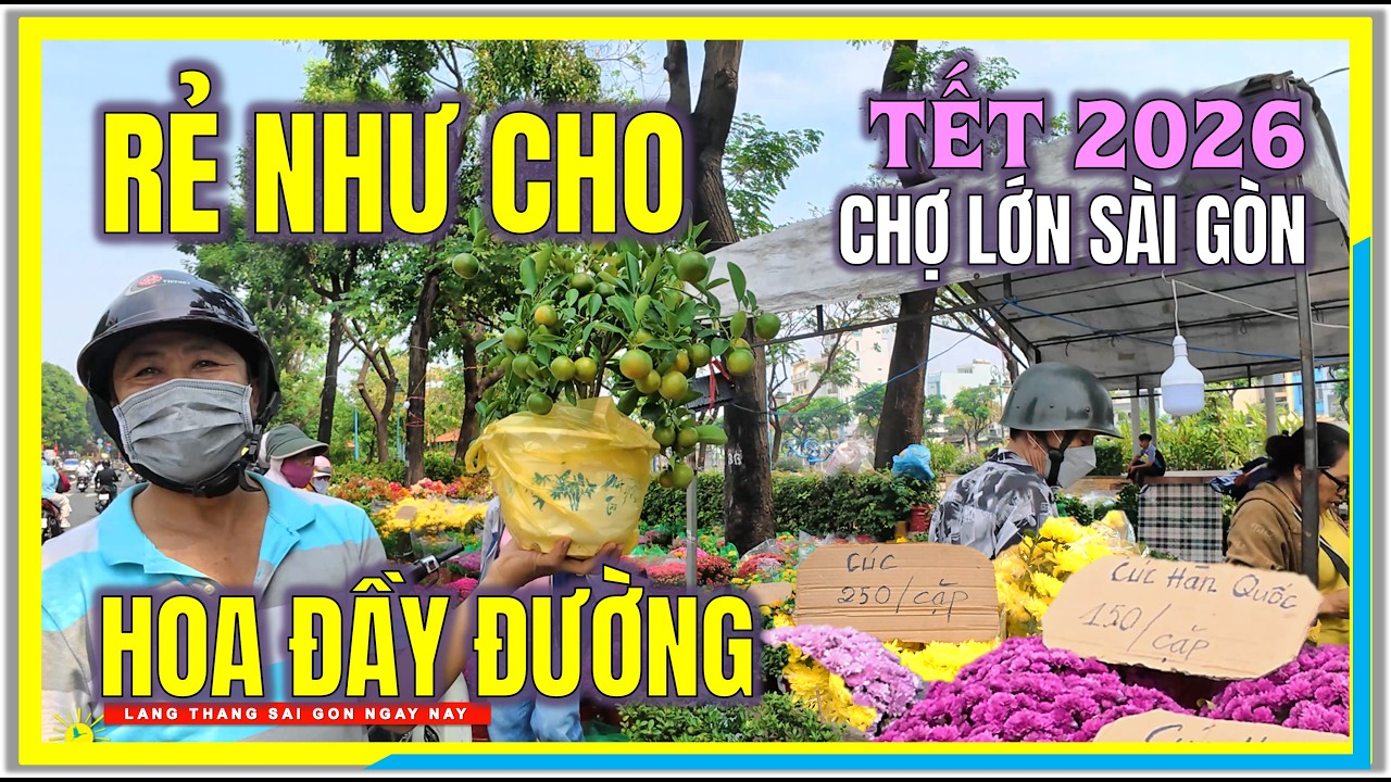 GIÁ RẺ NHƯ CHO ! BÔNG HOA TẾT ĐẦY ĐƯỜNG | ĐƯỜNG PHỐ CHỢ LỚN SÀI GÒN | TẾT BÍNH NGỌ SÀI GÒN 2026