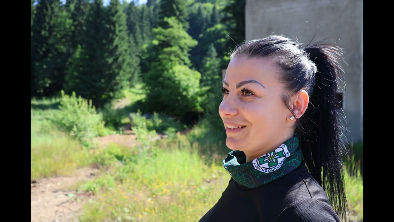 Baiut, Maramures, Drona