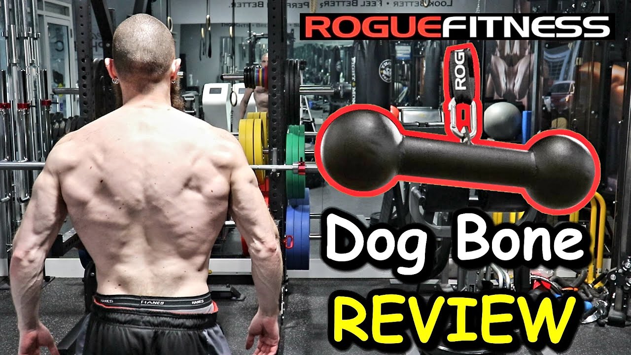 My REVIEW of the ROGUE Fitness DOG BONE Pull Up Bar | Increase GRIP STRENGTH