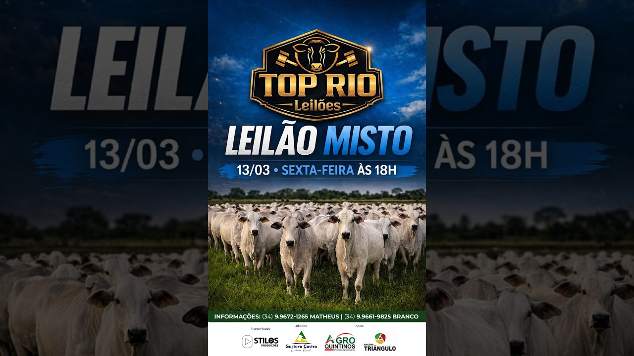 LEILÃO MISTO 13/03/2026 - TOP RIO LEILÕES - RIO PARANAÍBA-MG