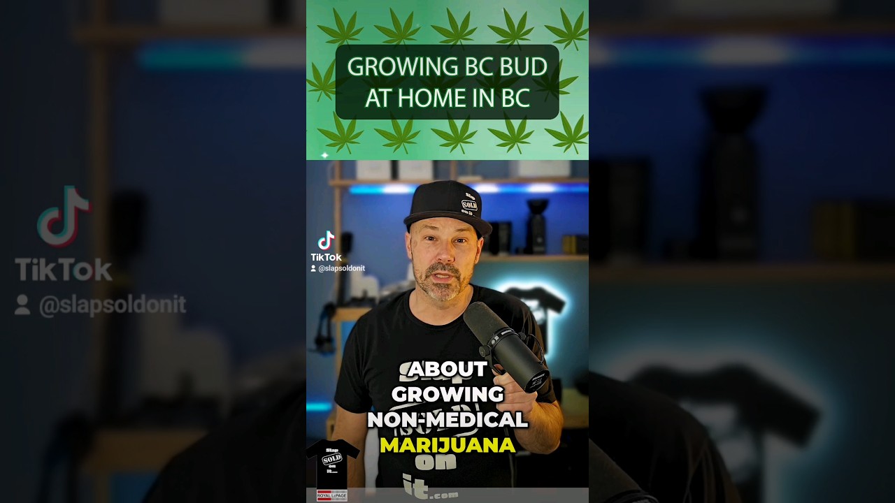 🪴🪴8 things you didn't know about growing BC Bud at home!🪴🪴Did any of these surprise you?