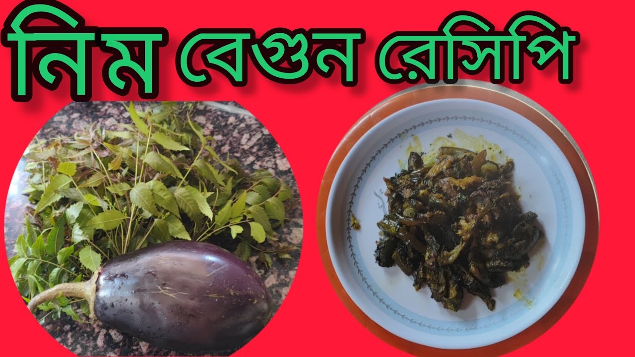 গরম ভাতে দারুণ স্বাদের নিম বেগুন রেসিপি | একবার খেলেই মনে থাকবে! /@malatis_kitchen//👌👌