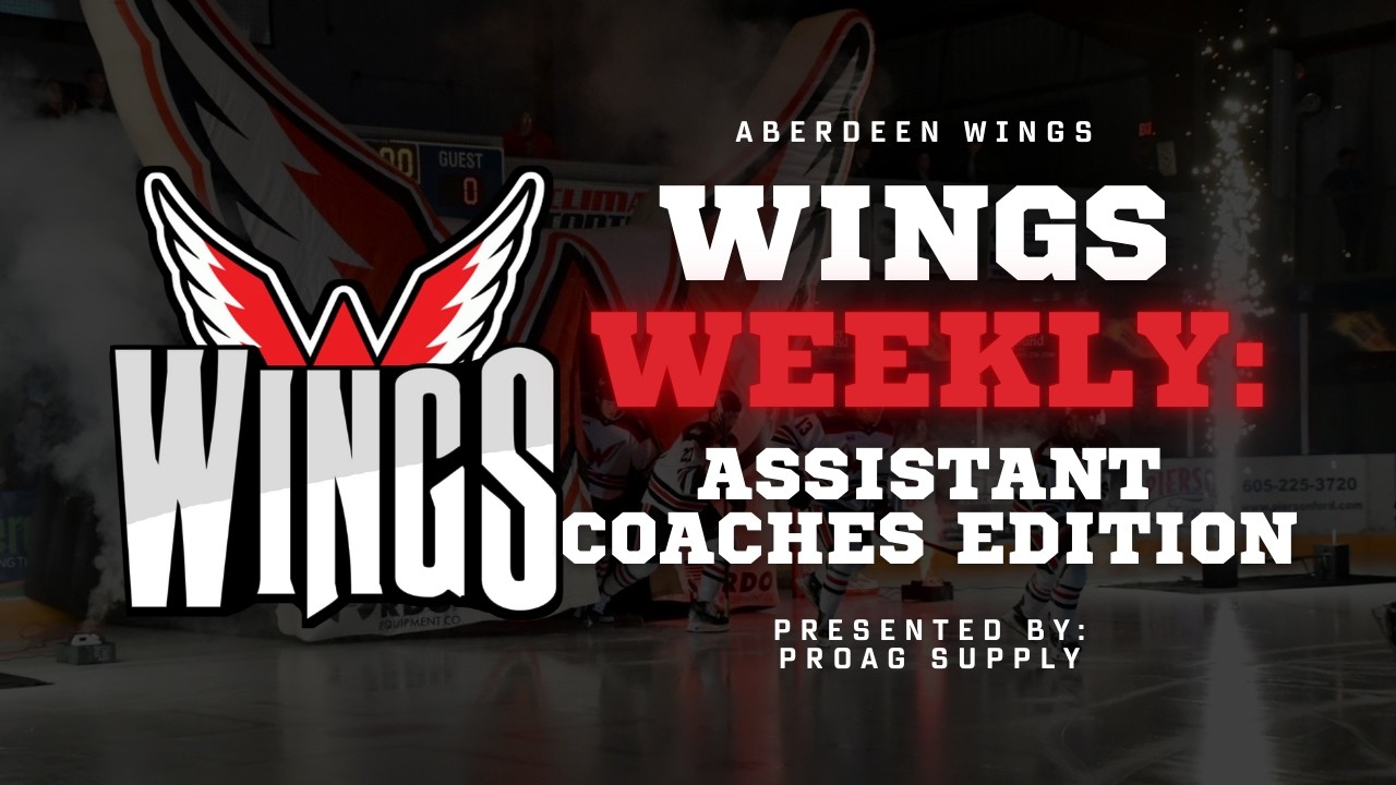 Wings Weekly: Assistant Coaches Edition