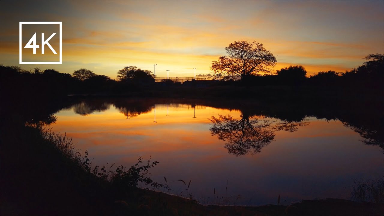 Sons relaxantes do NASCER DO SOL NA CAATINGA. (Som Binaural do Nordeste brasileiro). 4K Experi&ecirc;ncia.
