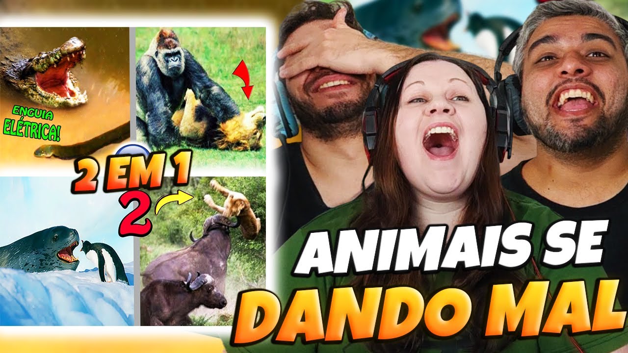 2 EM 1 Quando os Animais Escolhem o Oponente Errado | FALA DE TUDO | FAMILY REACTS
