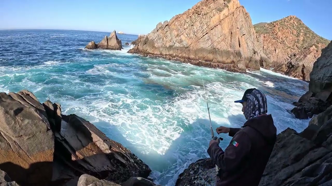 Pescando con mejillones (choros)con todo y concha baja California norte mexico