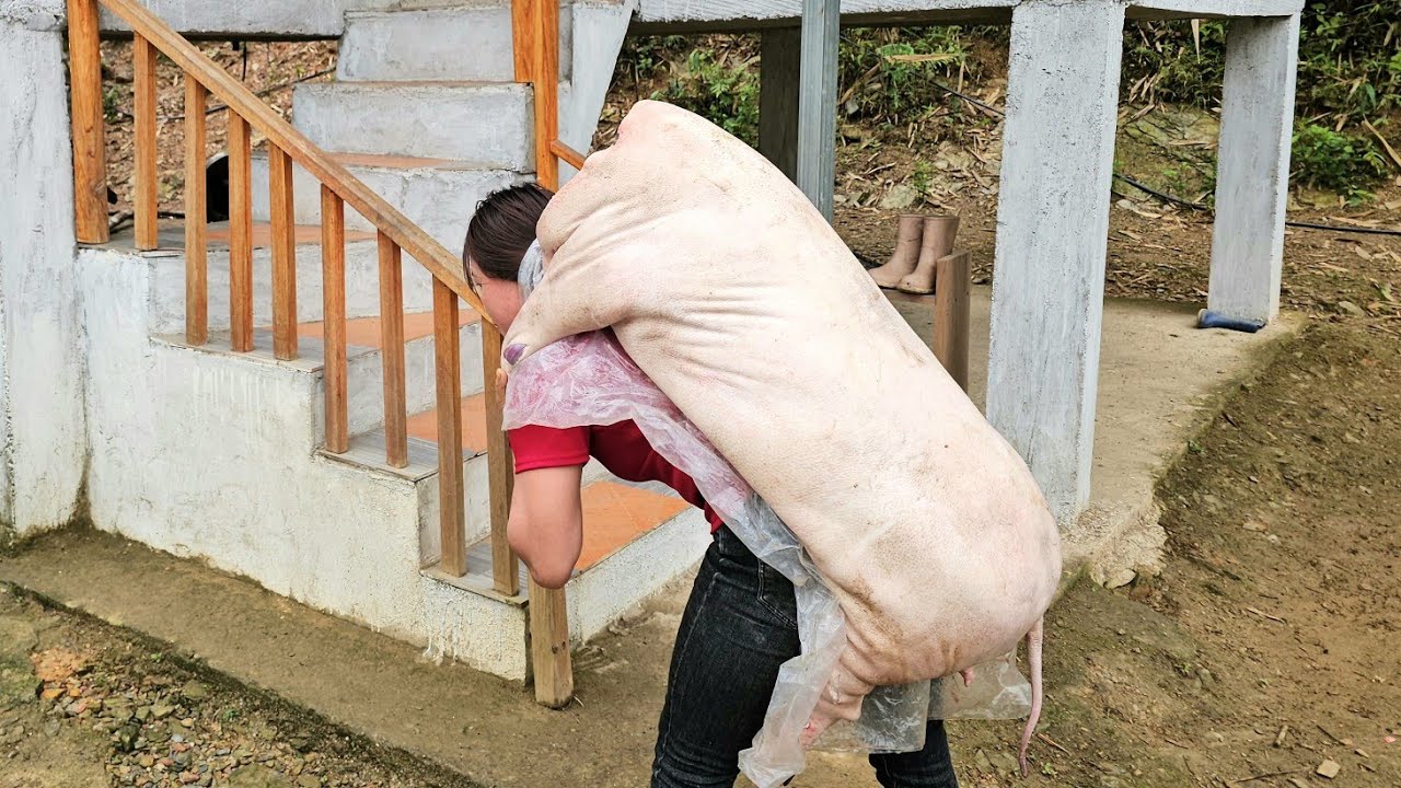 HONG makes his own cooking oil from giant black pigs and preserves pork cracklings with flour.