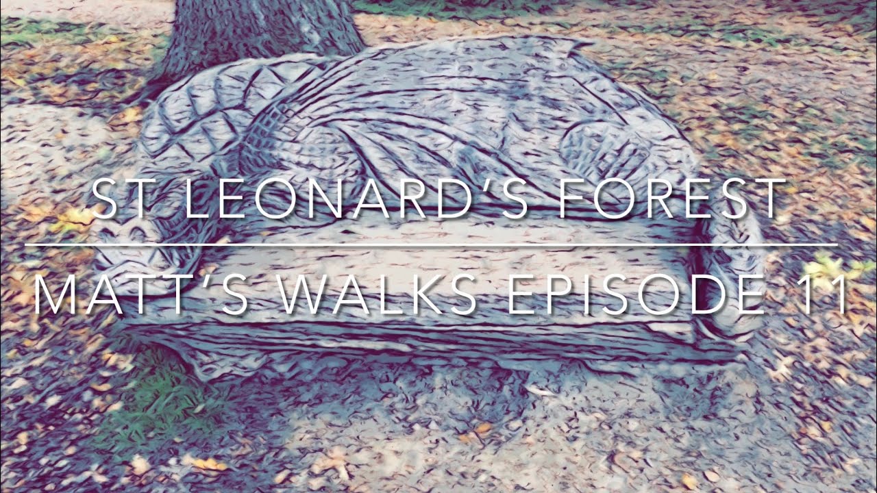 St Leonard’s Forest - Matt’s Walks - Ep 11