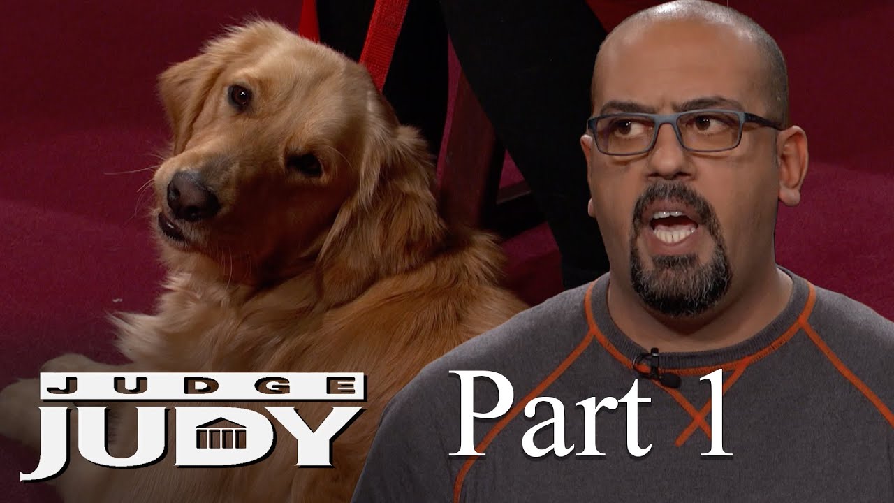 Fight over a Golden Retriever Goes to Court | Part 1
