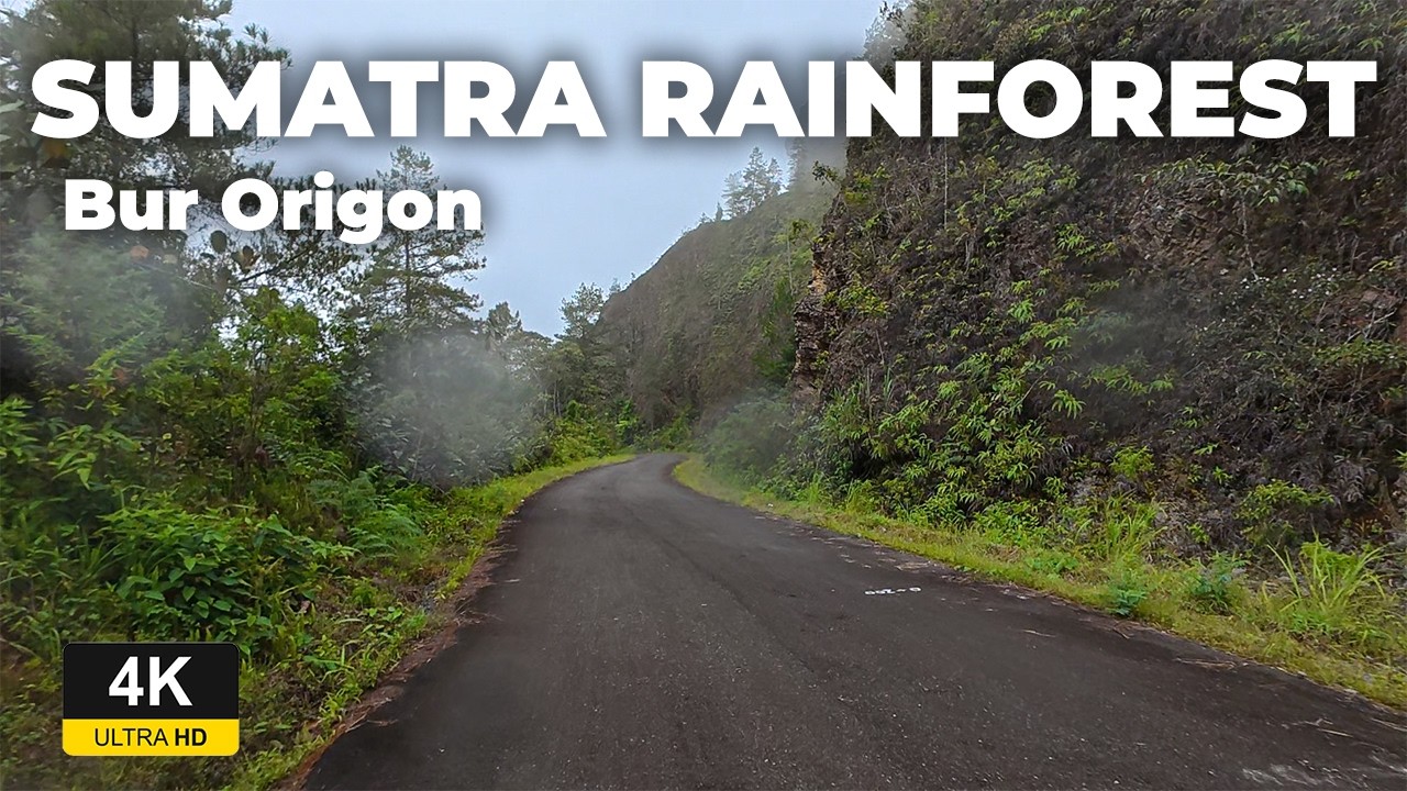 Exploring the Dangerous Tropical Rainforest Roads of Sumatra | Aceh Adventure