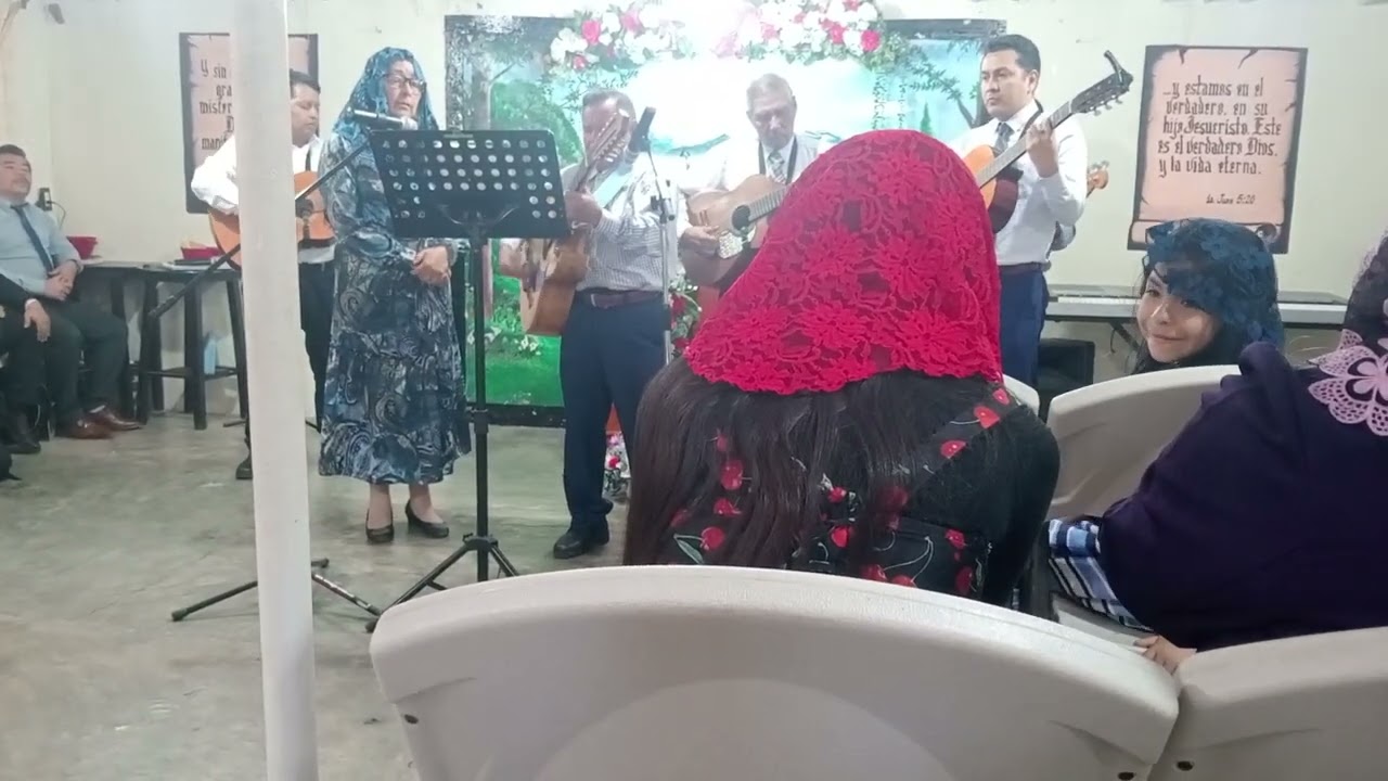 Agradecido estoy señor.
