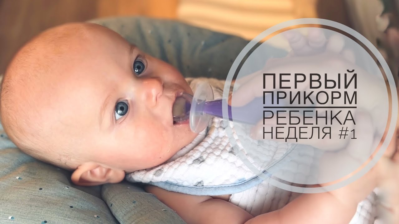 ПЕРВЫЙ ПРИКОРМ РЕБЕНКА | НЕДЕЛЯ #1 | БЕЗМОЛОЧНАЯ ГРЕЧНЕВАЯ КАША