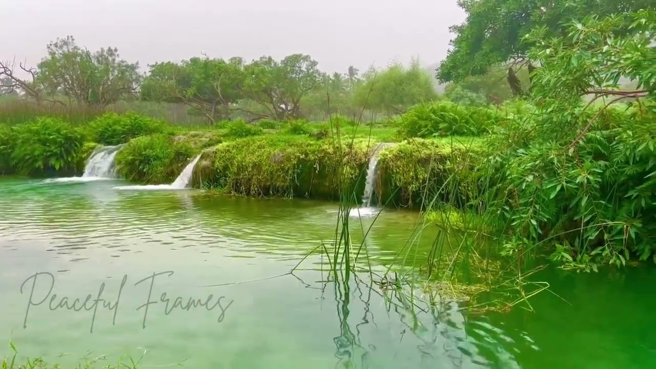 Where the water moves, worries fade| Relaxing water fall 
