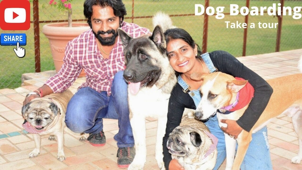 Dog Boarding Delhi || Day care || Pet Home Boarding