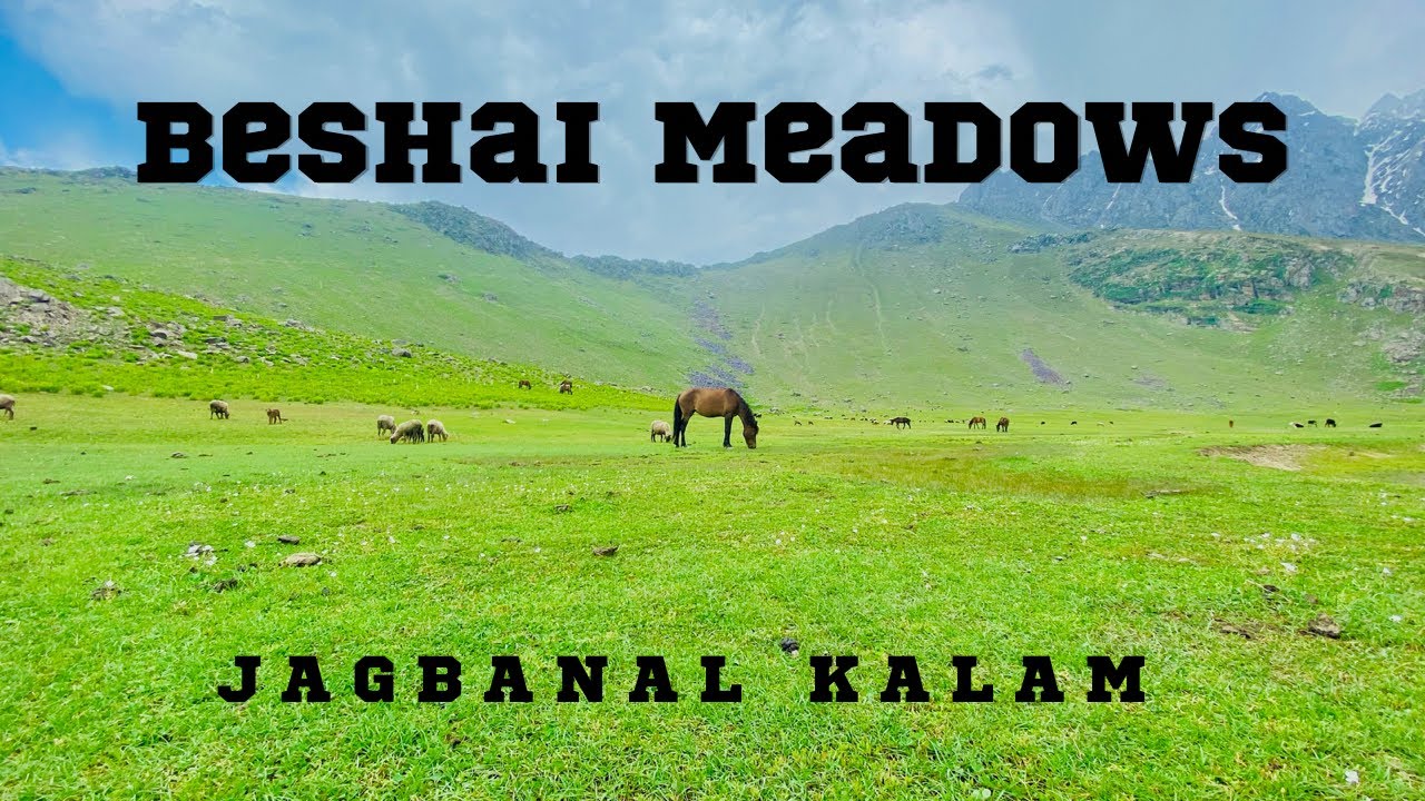 Most Beautiful Beshai And JagBanal Meadows kalam Swatvalley //#Beshaimeadows   #jagbanal