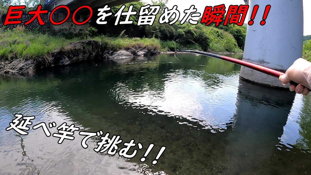 新記録！！ これが延べ竿の実力！巨大○○を仕留めた瞬間！！
