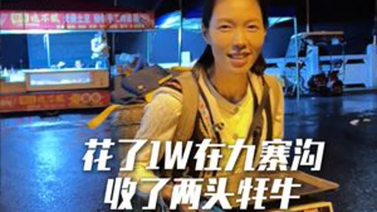 花1W在九寨沟又收了两头牦牛 第一头牛就宰了200多斤肉，让我赚大了#新农人2025 #摆摊日记#牦牛肉  #三农流量扶持计划 #欢欢羌族姑娘