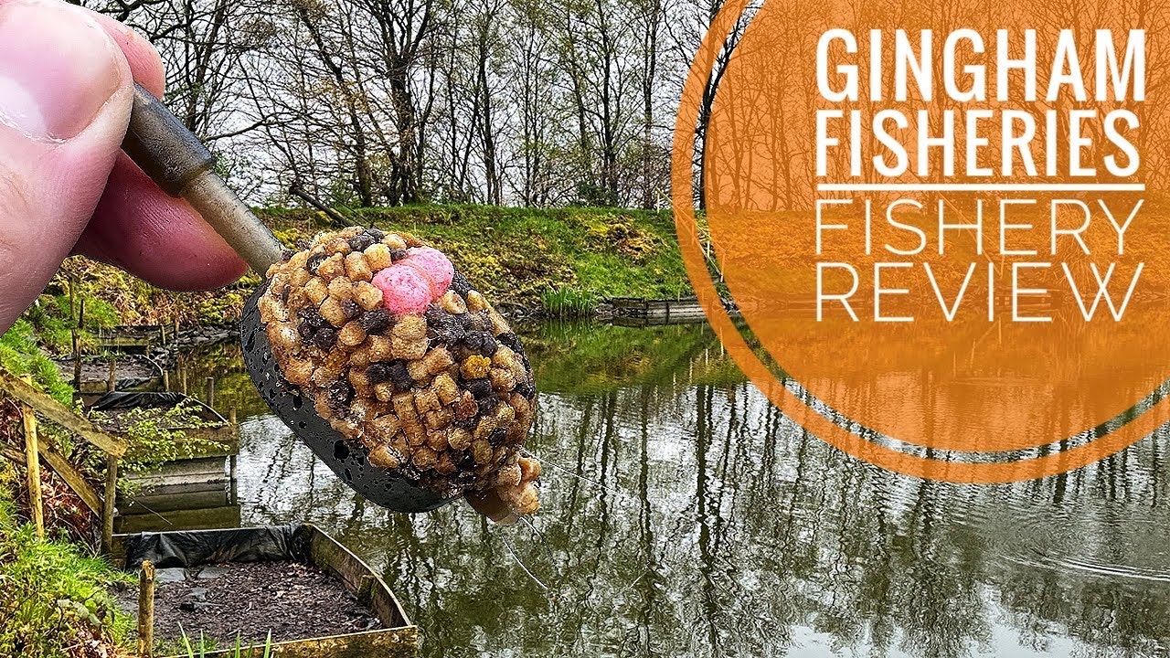 Method Feeder Fishing at Gingham Fisheries | Fishery Review