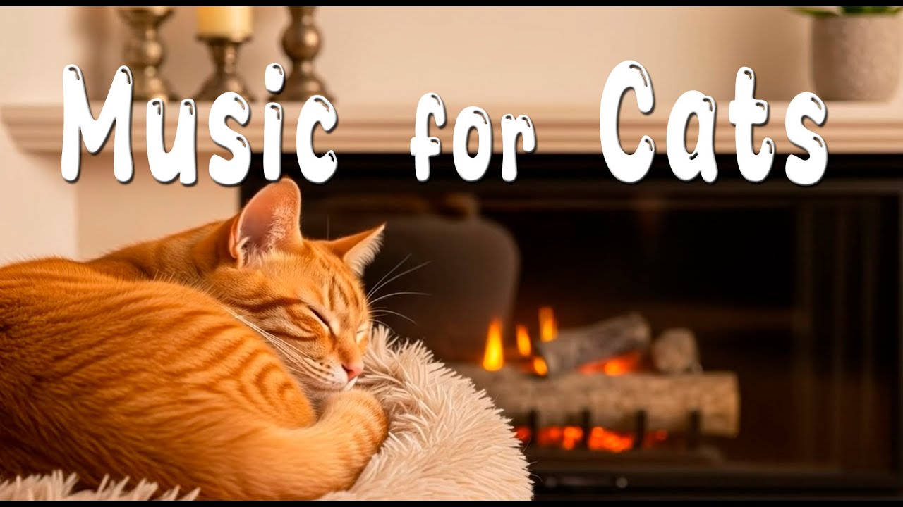 Meditation Cats Music 😻 Anti Anxiety Melody for Cat Sleep, Healing, Relax, Chill