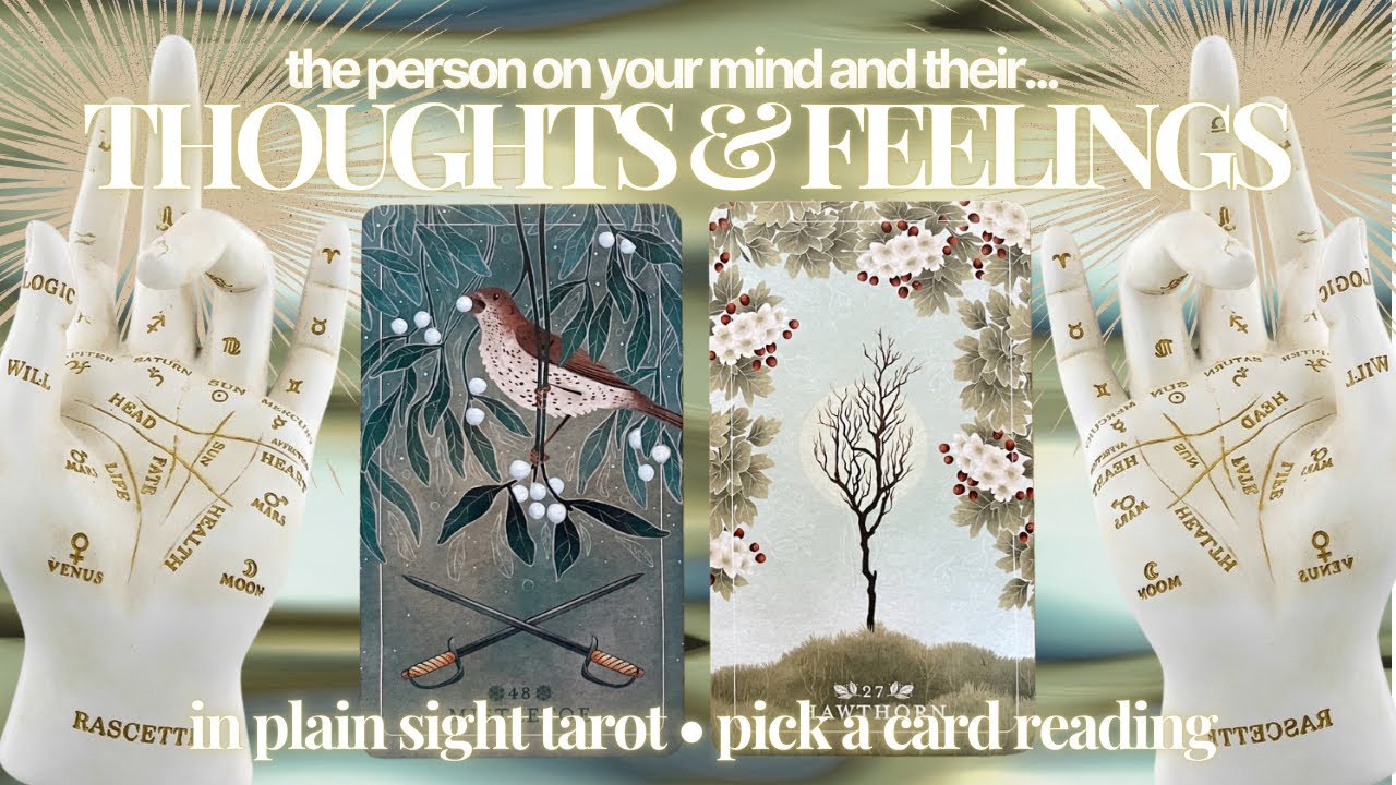 PICK A CARD: THEIR CURRENT THOUGHTS AND FEELINGS FOR YOU (THE PERSON ON YOUR MIND)
