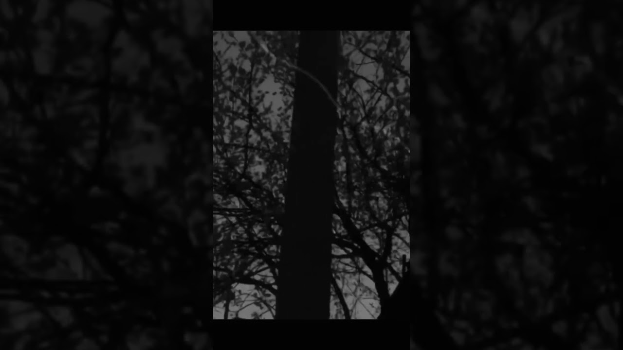 *SOLD* Phora Type Beat (Separation From Isolation) Prod. BicaBeatzzz