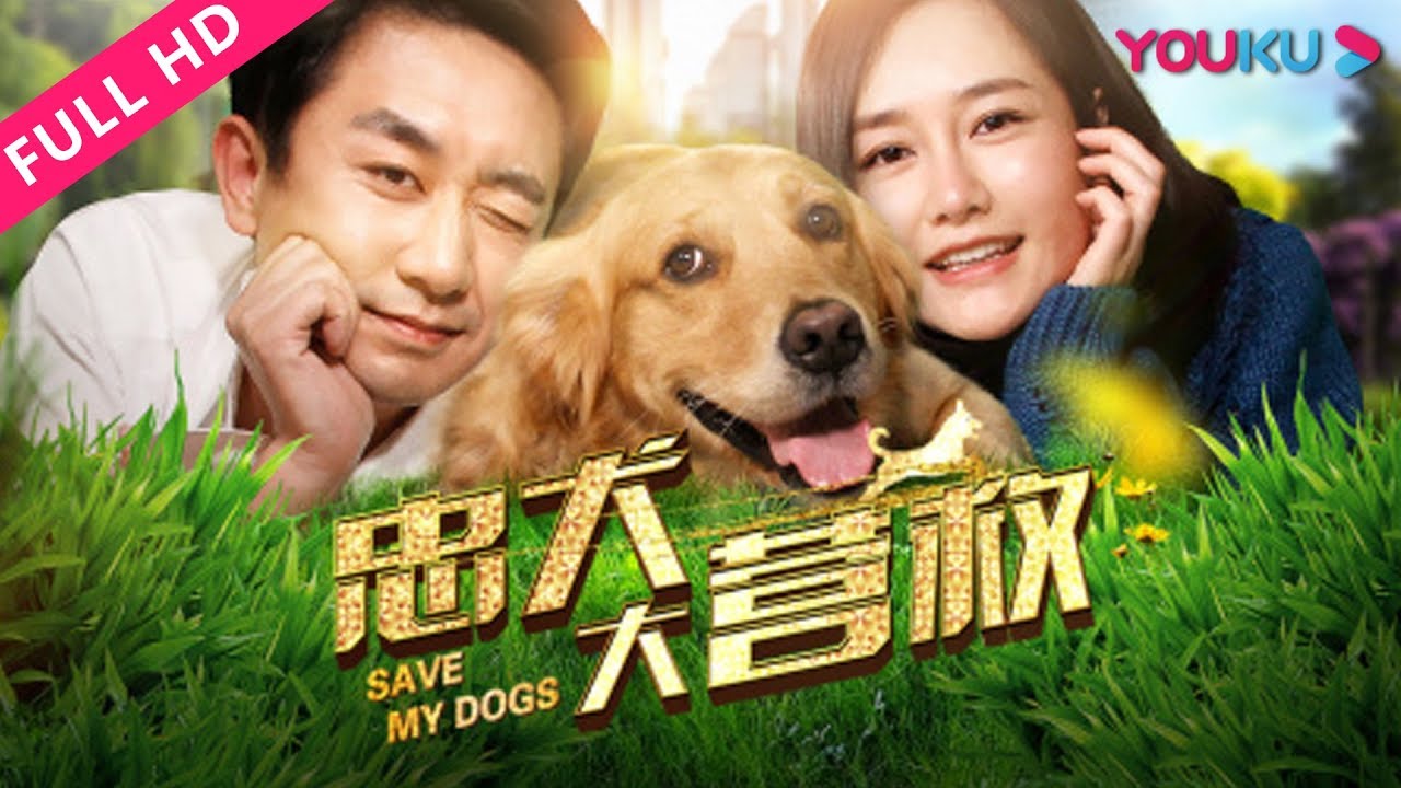 ENGSUB【忠犬大营救 Save My Dogs】被遗弃金毛的奇妙历险！| 爱情/冒险 | YOUKU MOVIE | 优酷电影