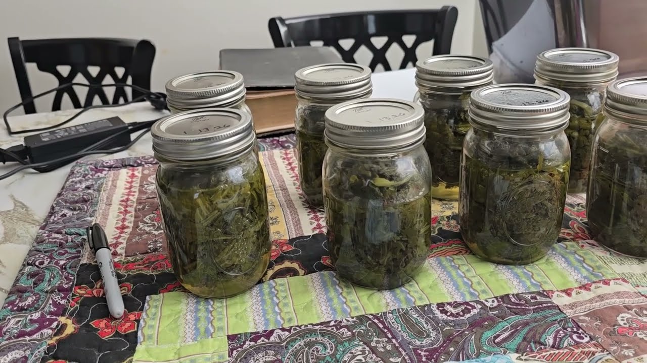 How to Can GREENS of Any Kind