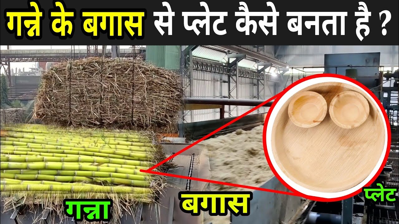 जानिए गन्ने के बगास से प्लेट कैसे बनता है | How Plates Made From Sugarcane