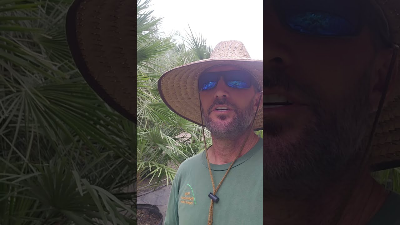 1000 Palms Turned Into an Informative Farm Tour! Cold-Hardy Palms, Sun vs. Shade & More!