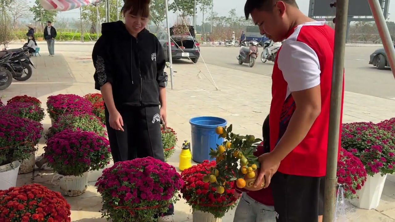 Anh Còi Chơi Cây Quất Bé Để Tiền Mua Cho Chị Sen Cây To