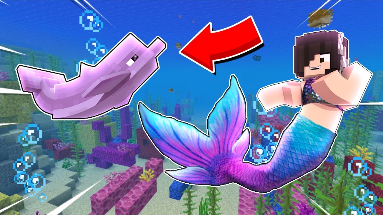 AMANDINHA VIROU SEREIA E ADOTOU UM GOLFINHO NO MINECRAFT (AMANDINHA)