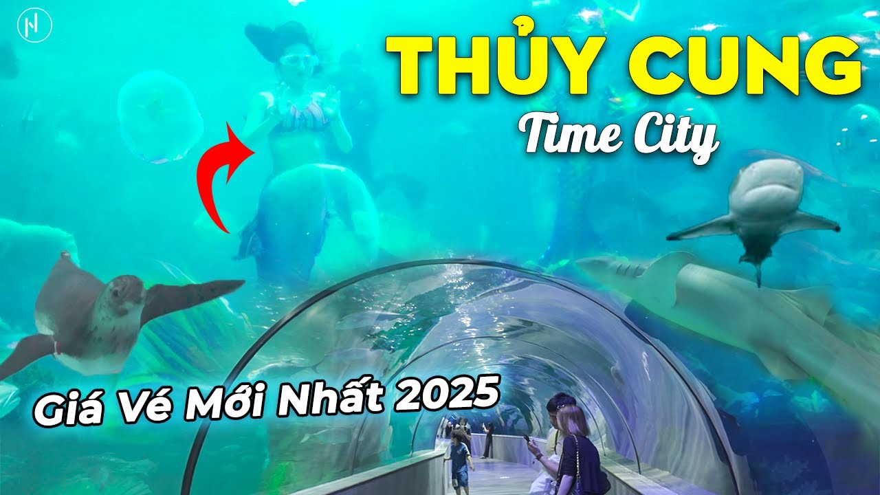 Review THỦY CUNG TIME CITY 2025, Đại Dương Giữa Lòng Thủ Đô Có Gì Mới?