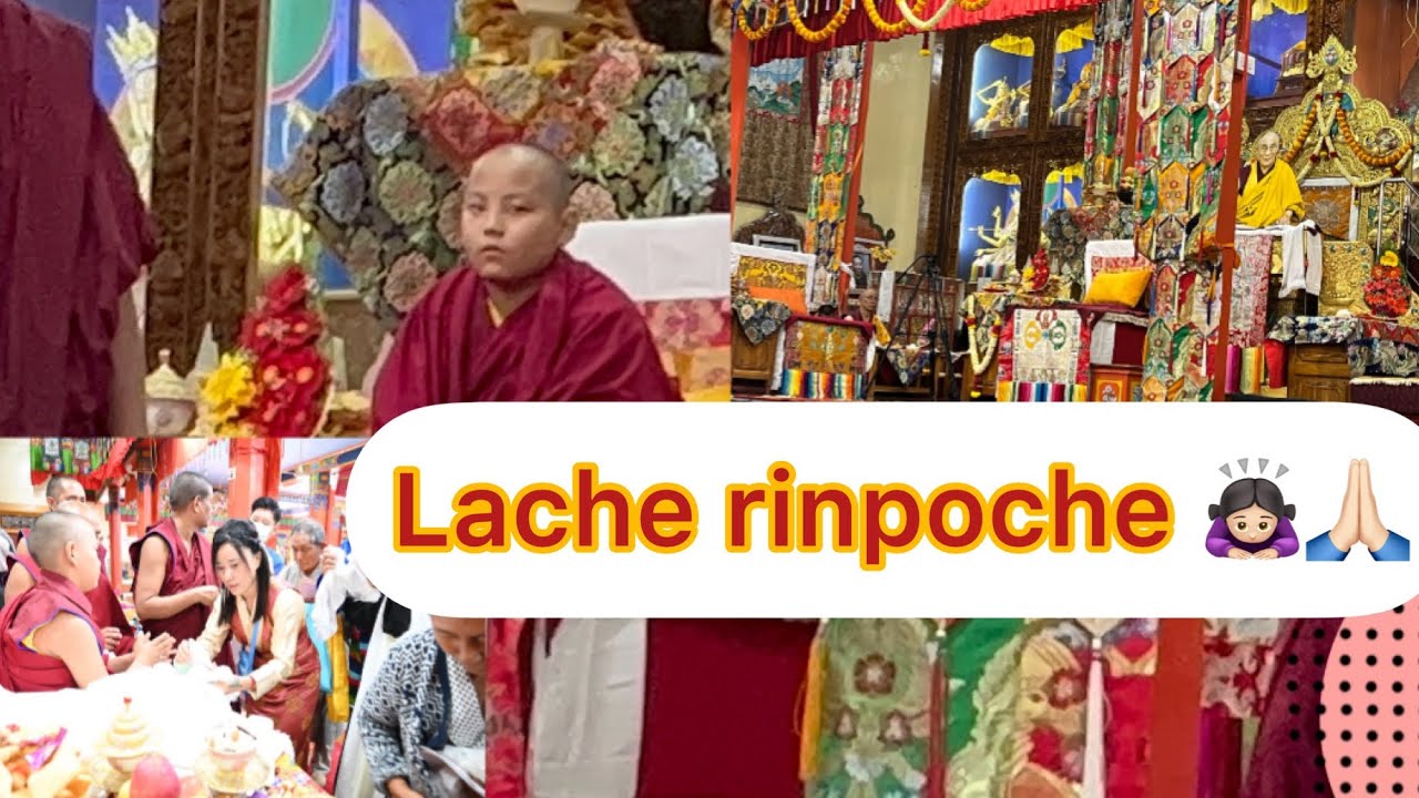 Lati rinpoche 🙇🏻‍♀️🙏🏻 || gaden shartse monastery || 