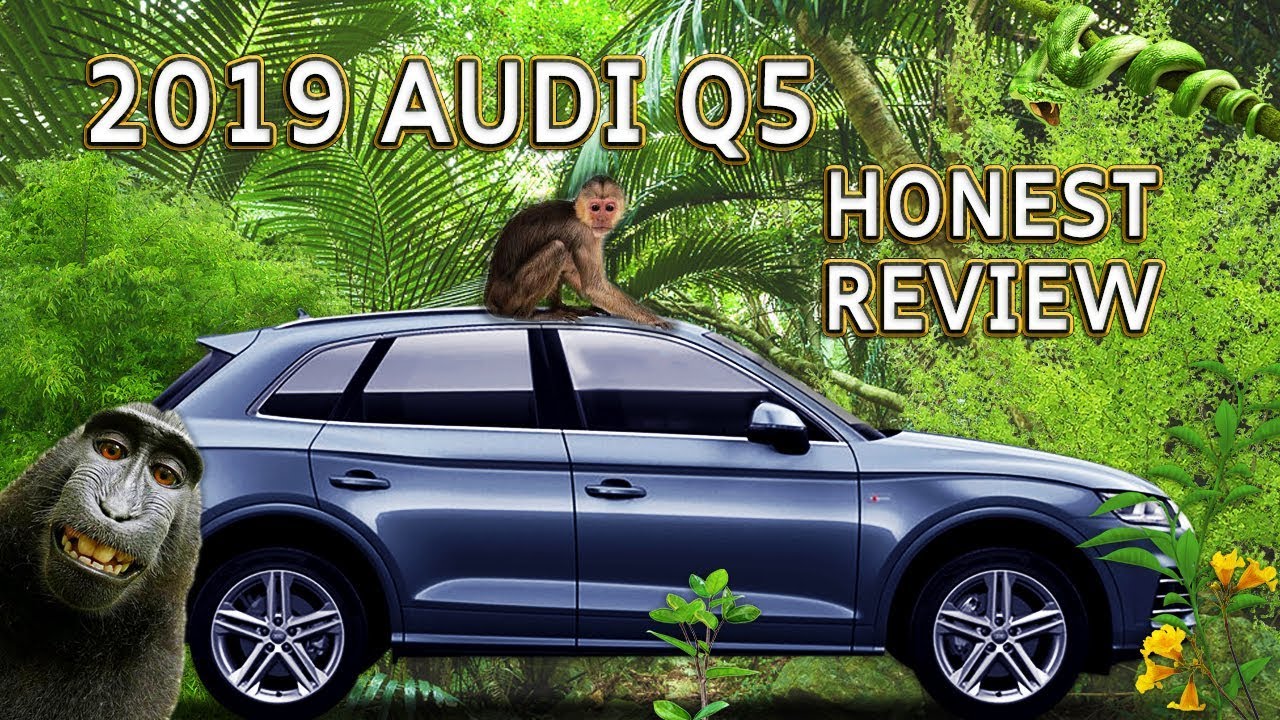 Audi Q5 S-line Quattro — полный честный обзор автомобиля