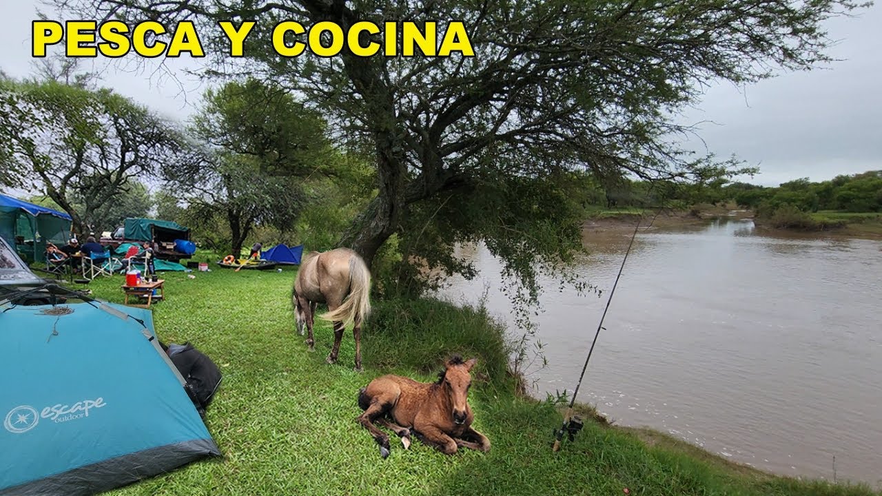 CAMPAMENTO DE PESCA Y COCINA. Pescado frito. muchos peces en arroyito. amantes xla pesca COOK Y FISH