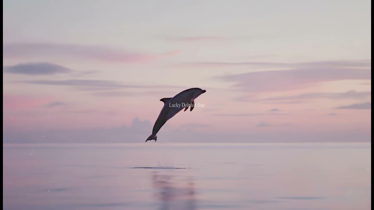 Dolphin Secret X – Lucky Dolphin Star  (Official Audio)
