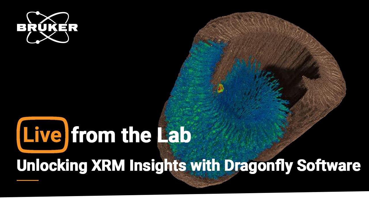 Live from the Lab: Unlocking XRM Insights with Dragonfly Software